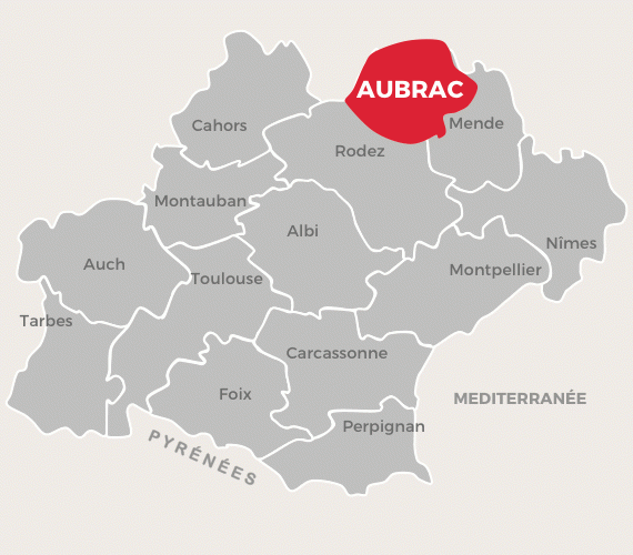 Aubrac 가축 사육: 초보자를 위한 사업 시작 계획
