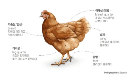 산란계의 일반적인 질병: 닭 질병의 정보 및 치료