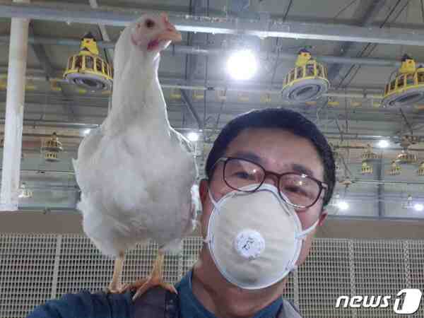 일본 자그마한 닭 농장: 초보자를 위한 사업 시작 계획