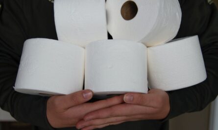 Contoh rancangan perniagaan untuk pengeluaran kertas tandas (tisu tandas)