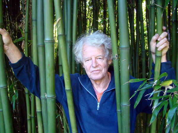 Voorbeeld van een businessplan voor het kweken van bamboe