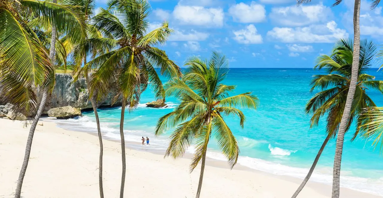 5 betrouwbare zakelijke ideeën in Barbados
