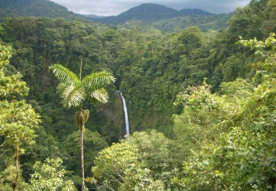 5 gode forretningsideer i Costa Rica