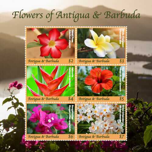 7 blomstrende forretningsideer i Antigua og Barbuda