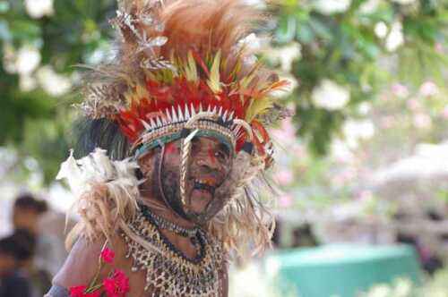 5 sprawdzonych pomysłów na biznes w Papui Nowej Gwinei