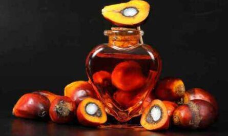 Biznes oleju palmowego: zacznij kupować, sprzedawać i przetwarzać czerwony olej