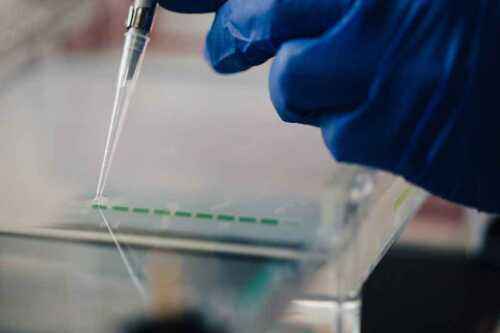 Biznesplan próbki laboratorium testowania DNA