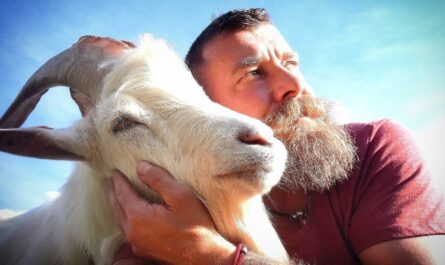 Dlaczego przyjazne kozy zamieniają się w wredne kozy: dlaczego zmiana zachowania kóz