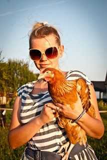 Dorking Chicken: charakterystyka, temperament i pełne informacje o rasie