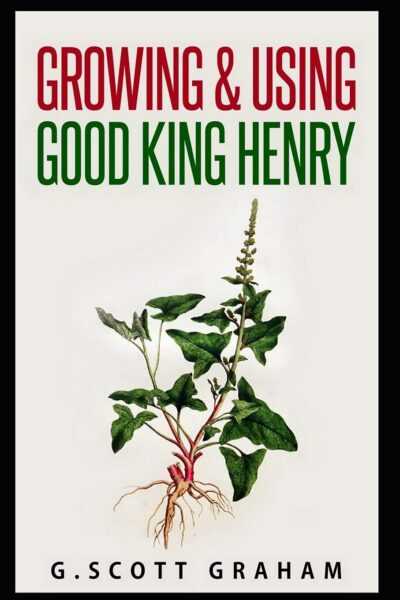 Growing Good King Henry: Przewodnik po rolnictwie dla początkujących