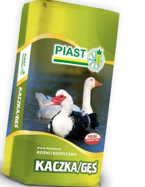 Karma dla kaczek: przewodnik dotyczący karmienia kaczek w celu uzyskania maksymalnej ilości mięsa i jaj