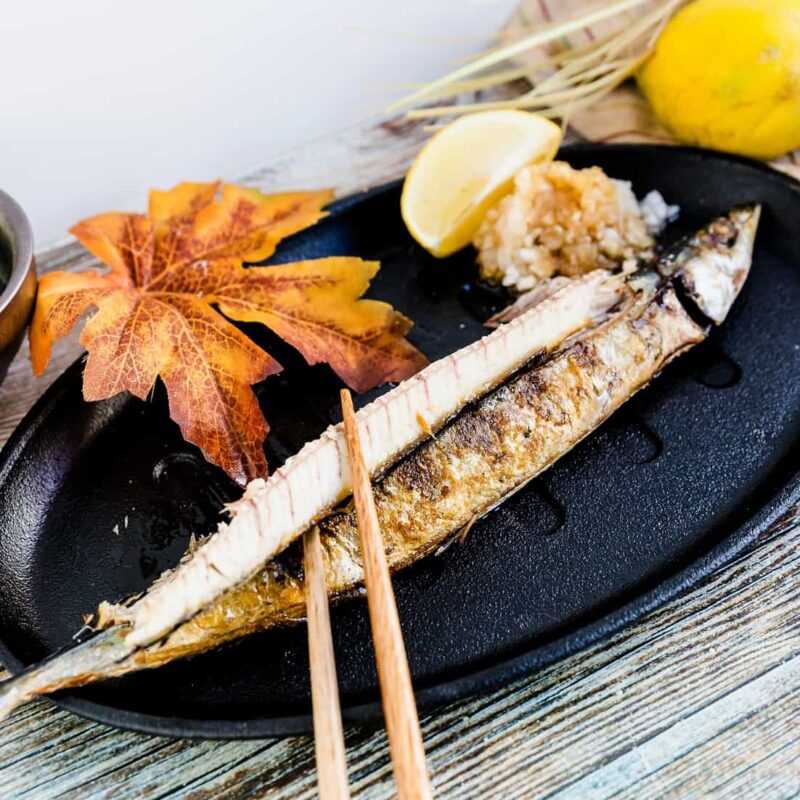 Pacific Saury Fish: charakterystyka, dieta, hodowla i zastosowania