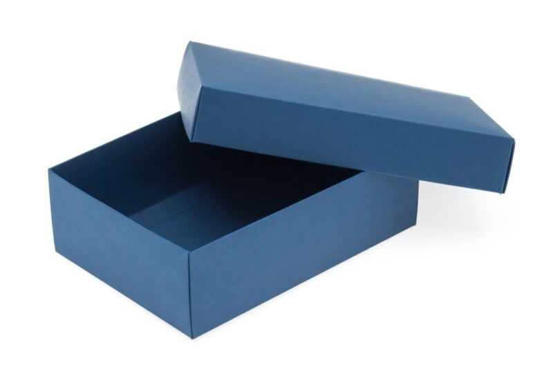 Pudełka lęgowe przepiórek: jak budować pudełka lęgowe dla przepiórek