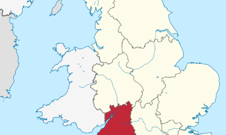 West of England Tumbler Pigeon: charakterystyka i informacje o rasie