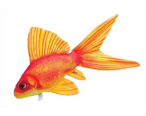 Złota rybka teleskopowa: charakterystyka, dieta, hodowla i zastosowania