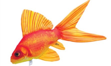 Złota rybka Bubble Eye: charakterystyka, dieta, hodowla i zastosowania