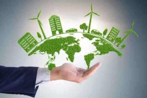 10 ideias de negócios verdes para proteger nosso mundo