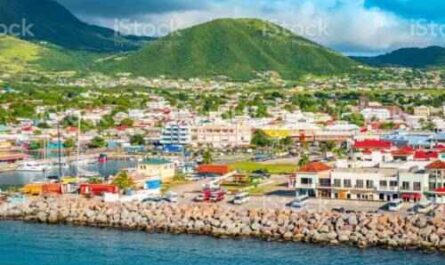 6 boas ideias de negócios em Saint Kitts e Nevis