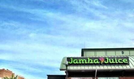 Custos, lucros e recursos da franquia da Jamba Juice