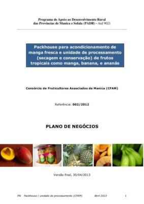 Exemplo de plano de negócios para exportação de frutas e vegetais