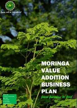 Exemplo de plano de negócios para o cultivo de plantação de Moringa