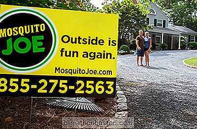 Custo, lucros e oportunidades da franquia Mosquito Joe