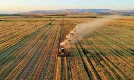 Agricultura da Turquia: Plano de início de negócios lucrativo para iniciantes