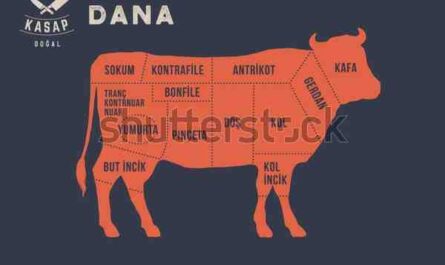Como etiquetar gado: guia para iniciantes para aplicar etiquetas de gado