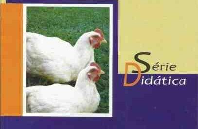 Doenças avícolas: diferentes tipos de doenças afetam a produção avícola