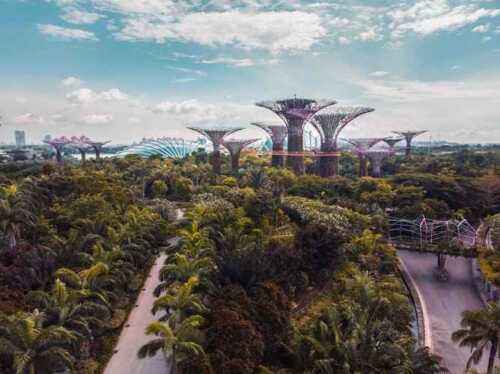 Singapur’da 11 harika iş fikri
