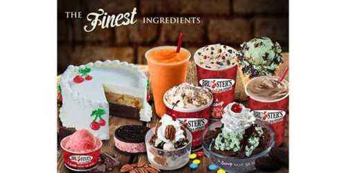 Bruster Real Ice Cream Franchise Maliyeti, Karı ve Özellikleri