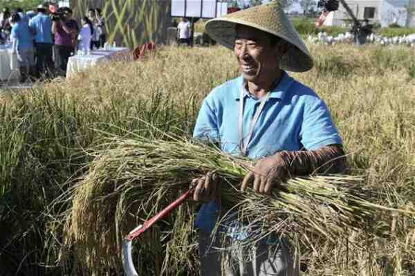 Büyüyen Pirinç Fasulyesi: Yeni Başlayanlar İçin Pirinç Fasulyesi Yetiştiriciliği
