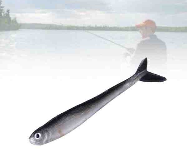 Gölet Loach Balığı: Özellikleri, Diyeti, Yetiştirilmesi ve Kullanımları