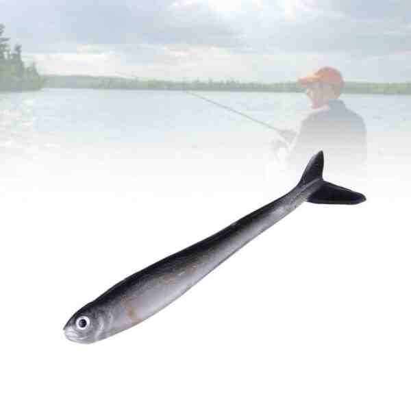 Gölet Loach Balığı: Özellikleri, Diyeti, Yetiştirilmesi ve Kullanımları