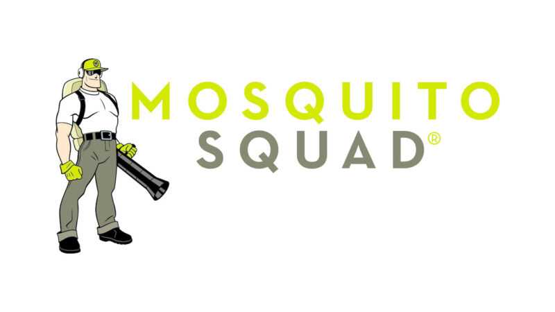 Chi phí, lợi nhuận và đặc điểm của nhượng quyền Mosquito Squad