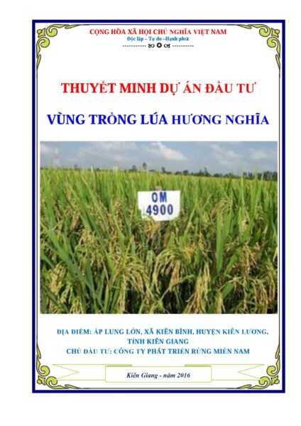 Ví dụ về kế hoạch kinh doanh trồng lúa