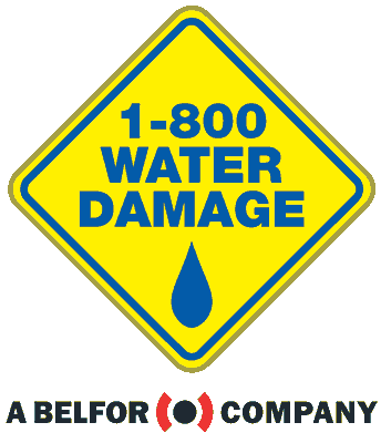Start a 1-800 WATER DAMAGE franchise