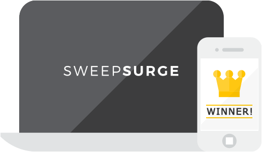 Start a SweepSurge Business