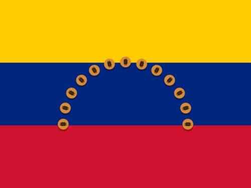 委内瑞拉的6个有利可图的商业创意