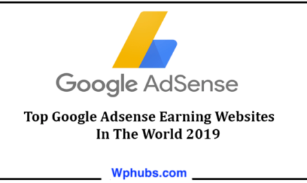全球最大的Adsense用户-付费最多的网站