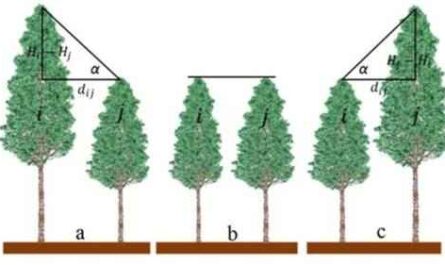 树木生长业务样本计划