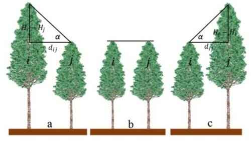 树木生长业务样本计划