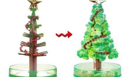 种植圣诞树的示例业务计划