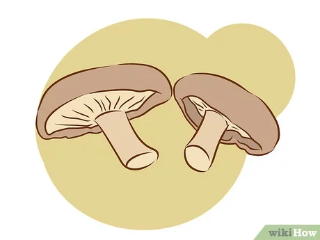 种植蘑菇以牟利