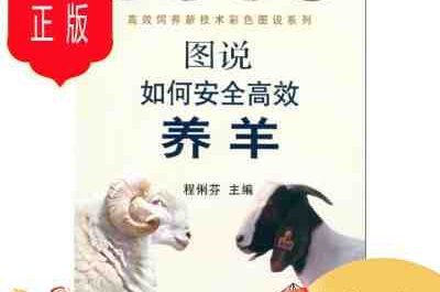 养羊：初学者的完整信息和指南
