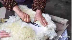 剪羊毛：如何剪羊毛（初学者指南）