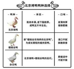 北京烤鸭：特征、起源、用途和全品种信息