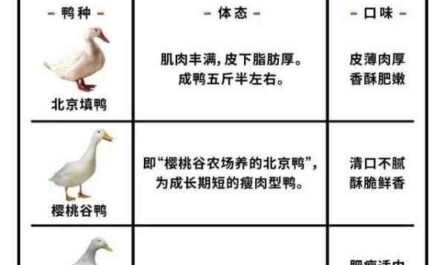 北京烤鸭：特征、起源、用途和全品种信息