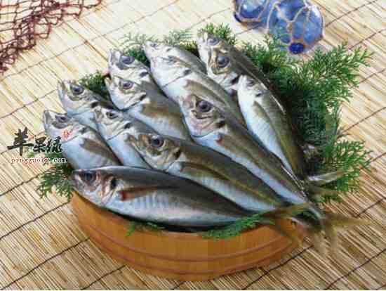 印度鲭鱼：特征、饮食、繁殖和用途