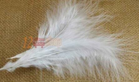 土耳其羽毛颜色：不同颜色的土耳其羽毛